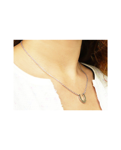 Domestic pure titanium necklace horseshoe [Horie / H-CT-N509SR]