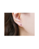 Domestic pure titanium earrings garnet cut [Horie / H-TP8005]