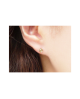 Domestic pure titanium earrings Citrine [Horie / H-TP8109]