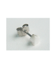 Domestic pure titanium earrings artificial cats star type white [Horie / H-TP8234]