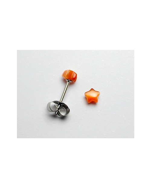 Domestic pure titanium earrings artificial cats star orange [Horie / H-TP8235]